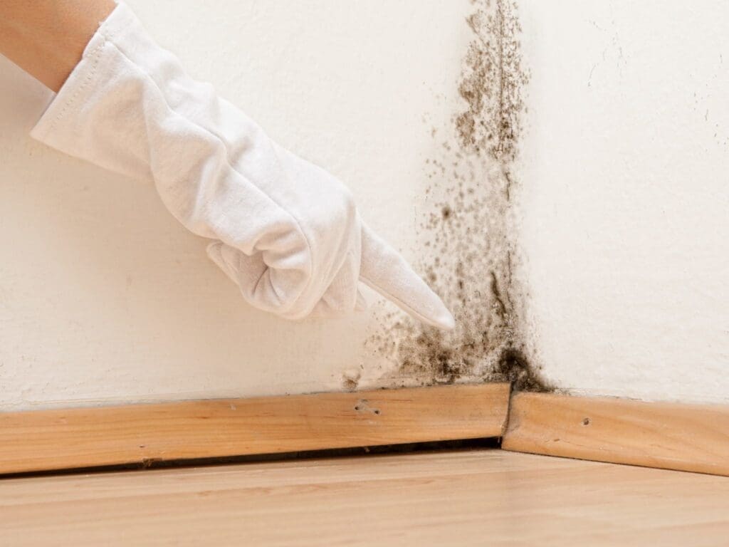 A close-up shot of a hand wearing white gloves pointing to the corner of a house where mold is growing.