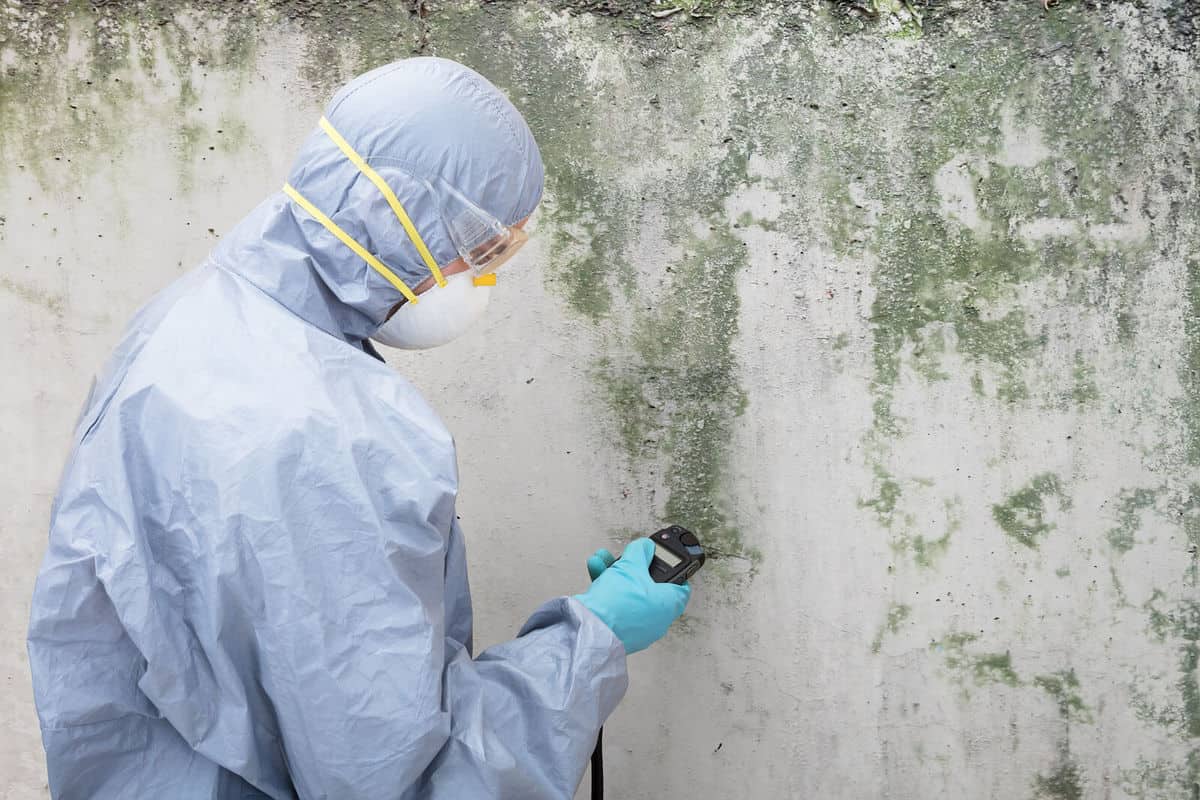 mold inspector testing mold on a wall.