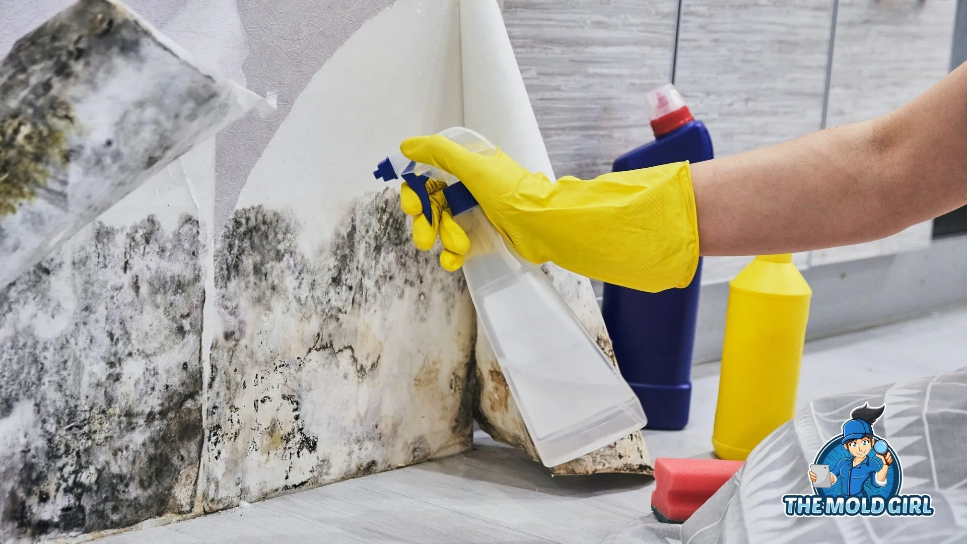 close shot of a hand wearing yellow glove holding a spray bottle and spraying on the mold on wall.