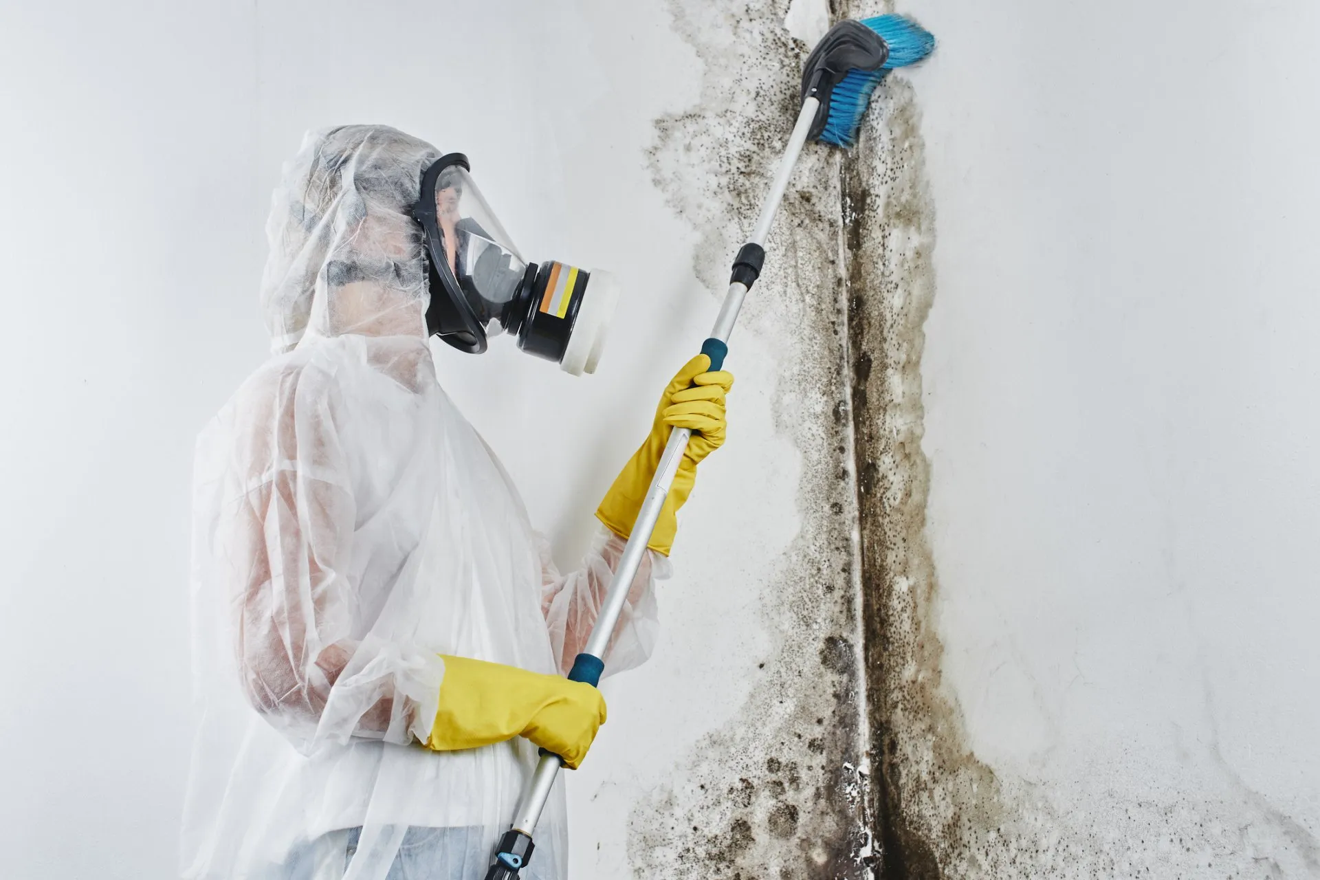 a professional mold removal expert wearing protective gear and cleaning mold on wall with a brush.